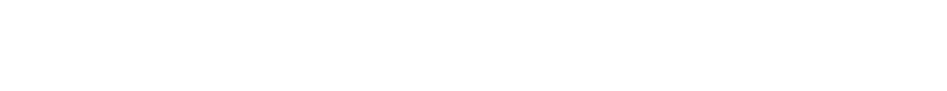 Brighton STM Group